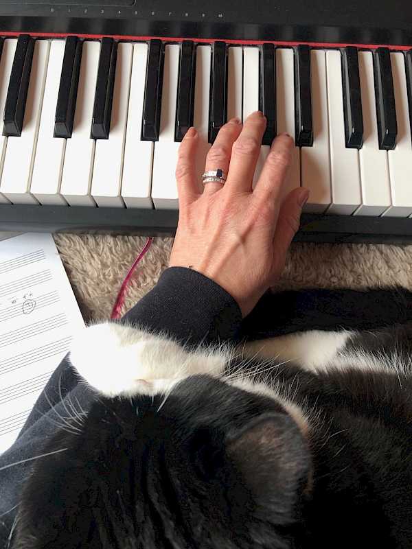 Preview image for blog post - Tennessee Twin - New songs for a new year!