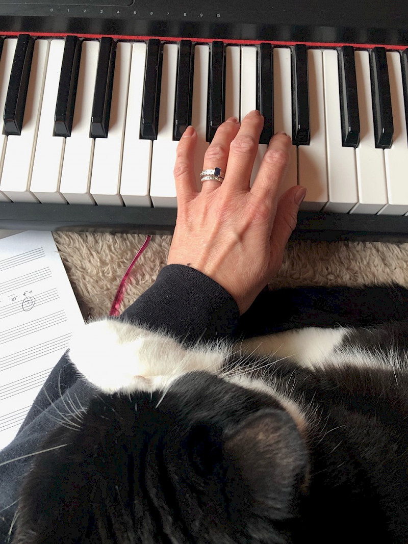 Preview image for blog post - New songs for a new year!
