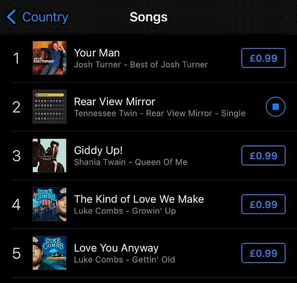 Preview image for blog post - Tennessee Twin - Rear View Mirror hits the No.2 spot on the UK Country Chart!