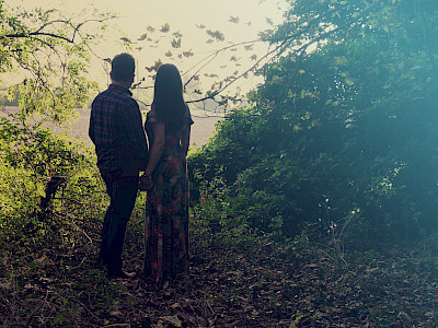 Preview image of One week until the release of 'Apple Tree'!  PRE-ORDER NOW!!! blog post