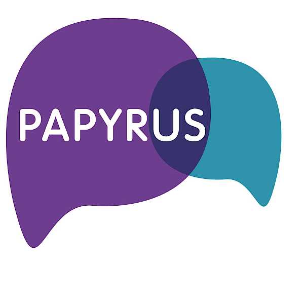 Preview image for blog post - Tennessee Twin - The Sound of Silence - OUT NOW!!