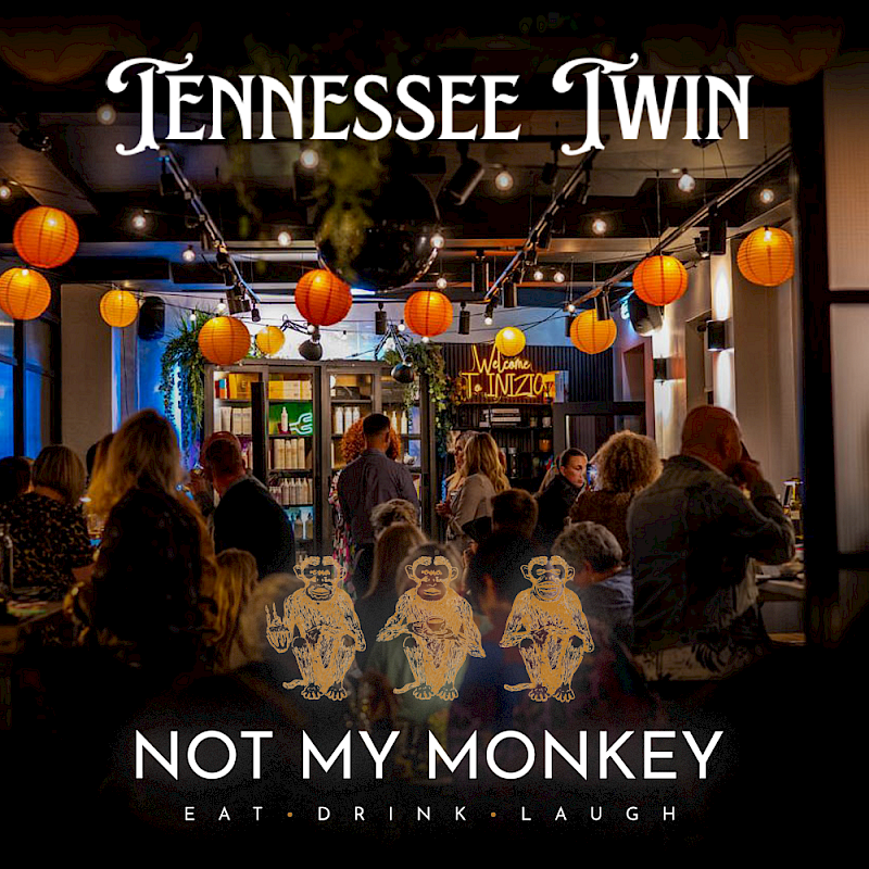 Poster for gig - Not My Monkey - Newark